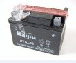 12V ATV battery BA1003