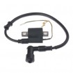 Ignition Coil for 90cc & 125cc ATVs E02-1009