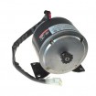 24 Volt 400 Watt 11teeth Currie Motor M03-1011